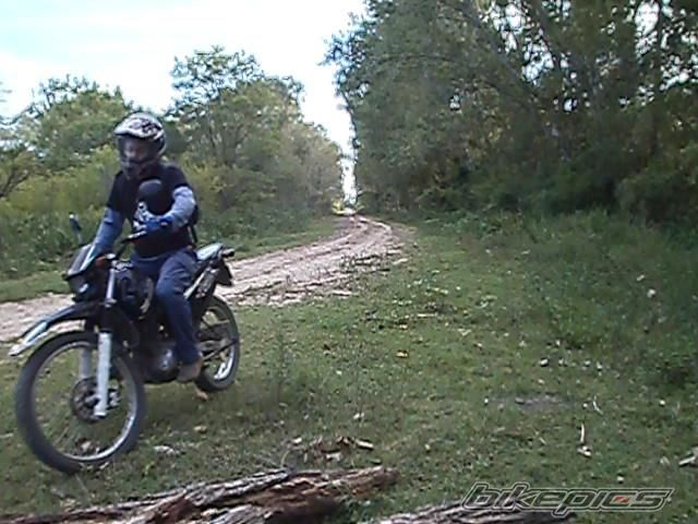 Photo 2783870