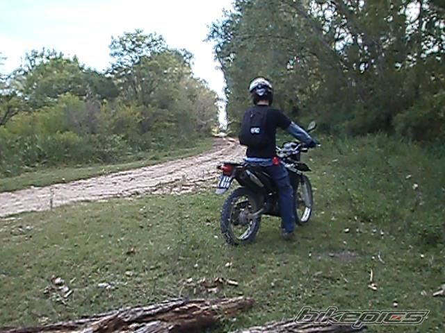 Photo 2783873