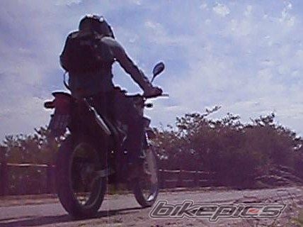 Photo 2783888