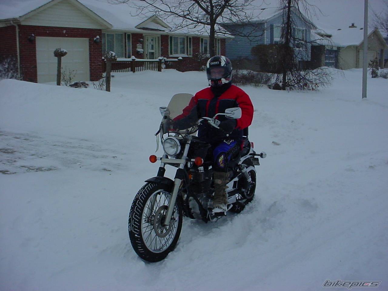 Photo 278396