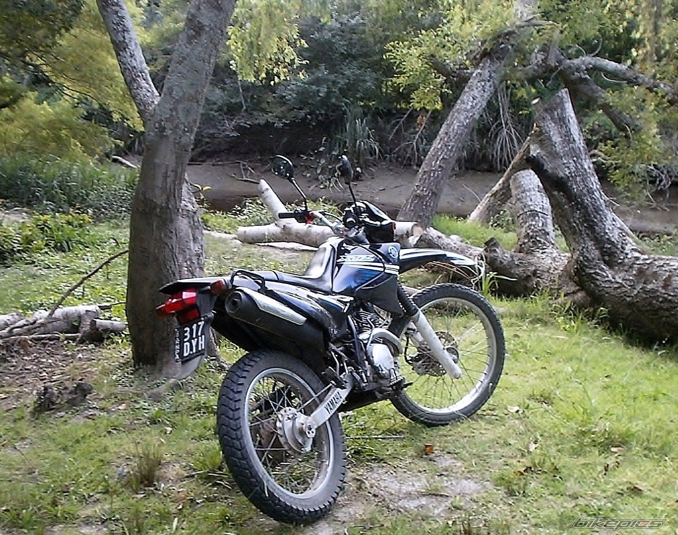 Photo 2784052