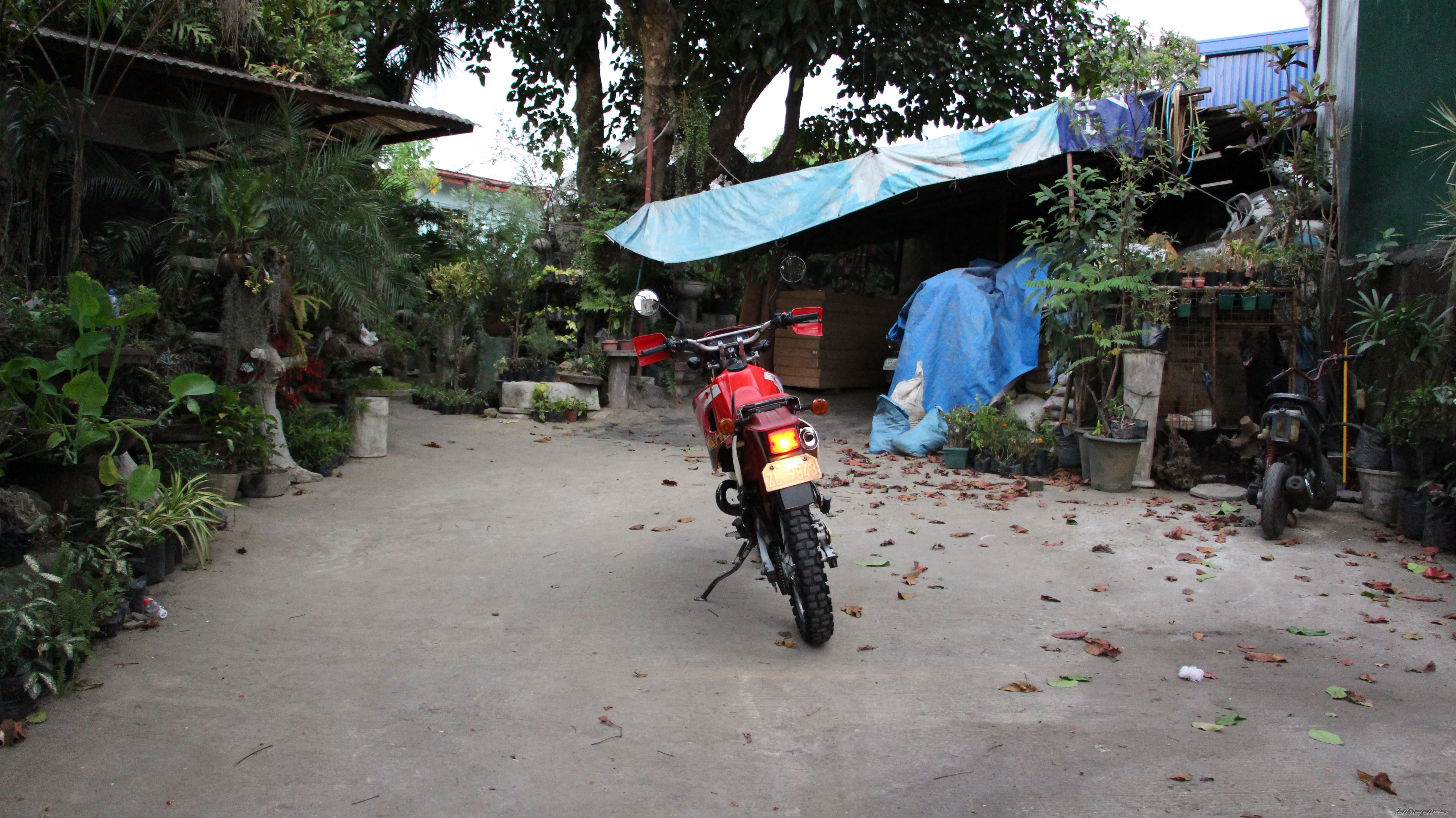 Photo 2784152