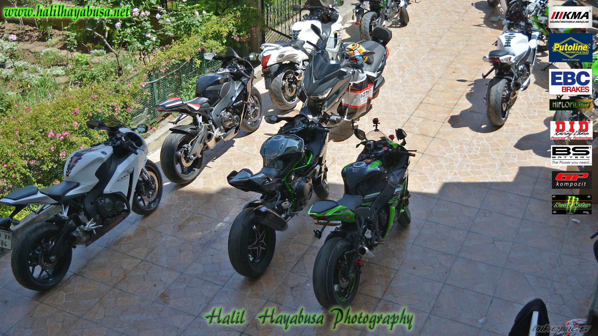 Photo 2784169