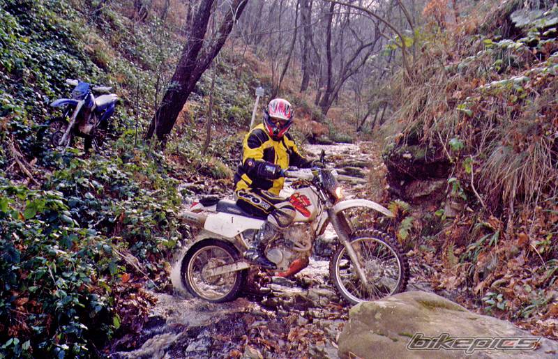 Bike Photo 278421