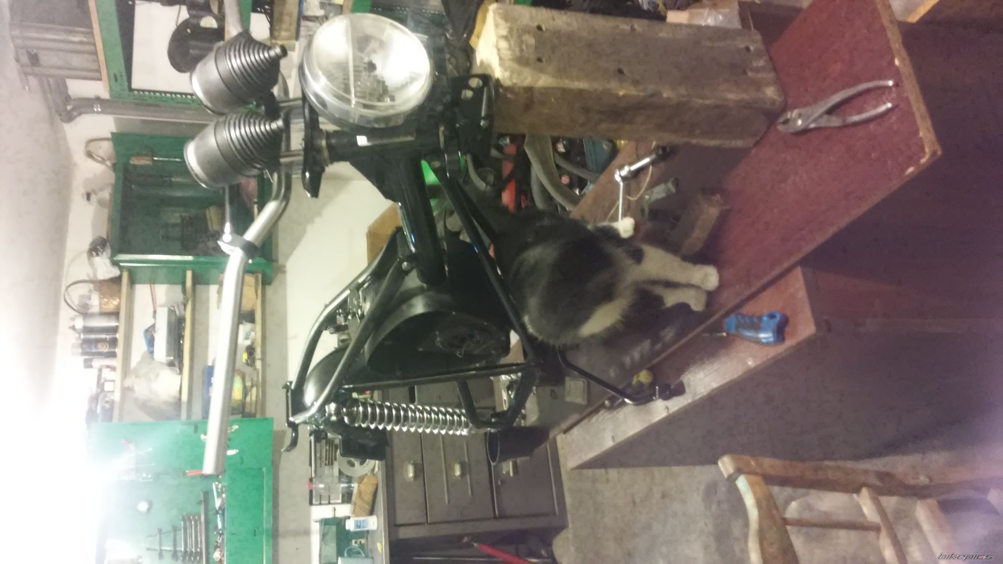 Photo 2784360