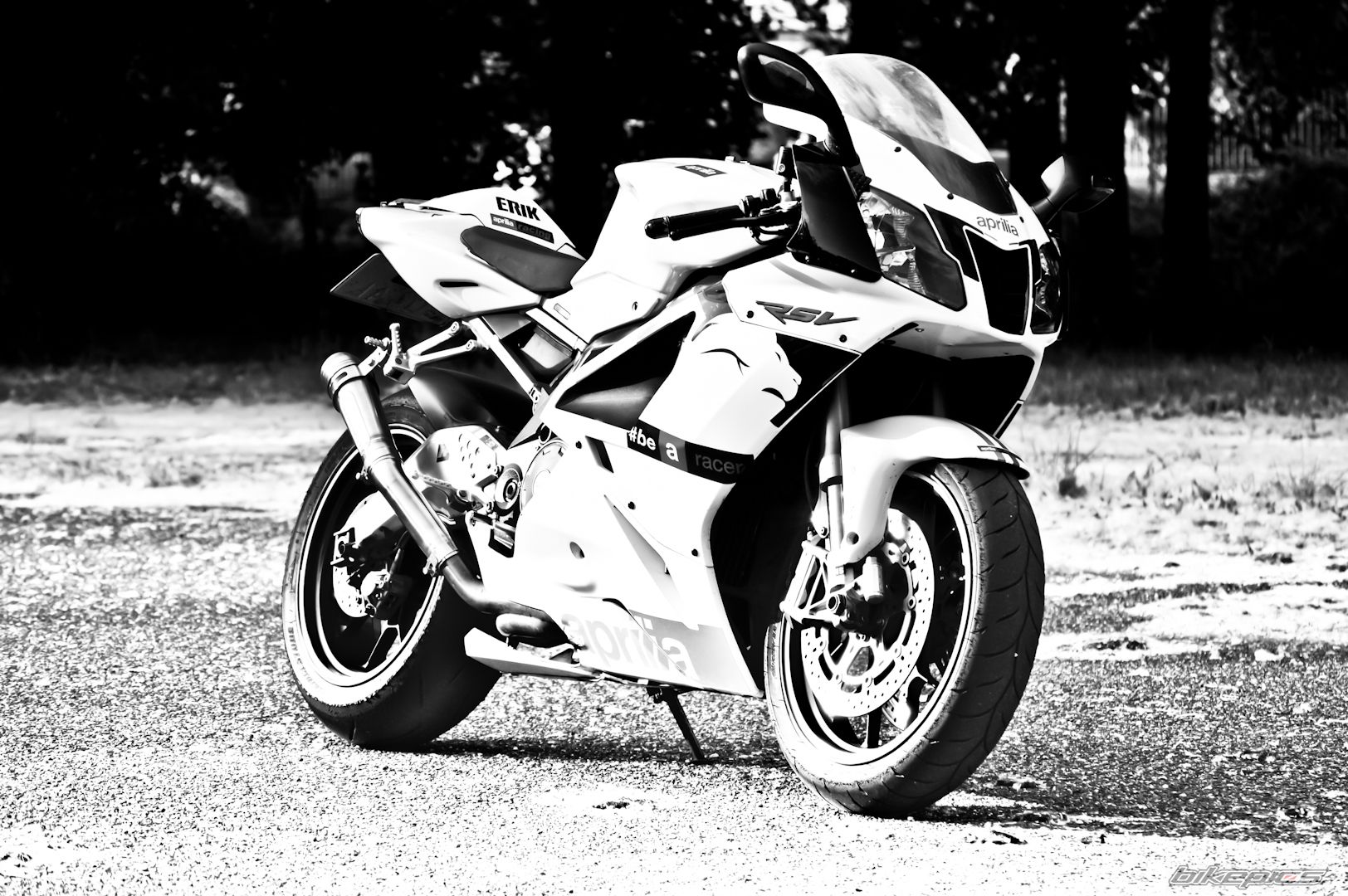 Photo 2784385