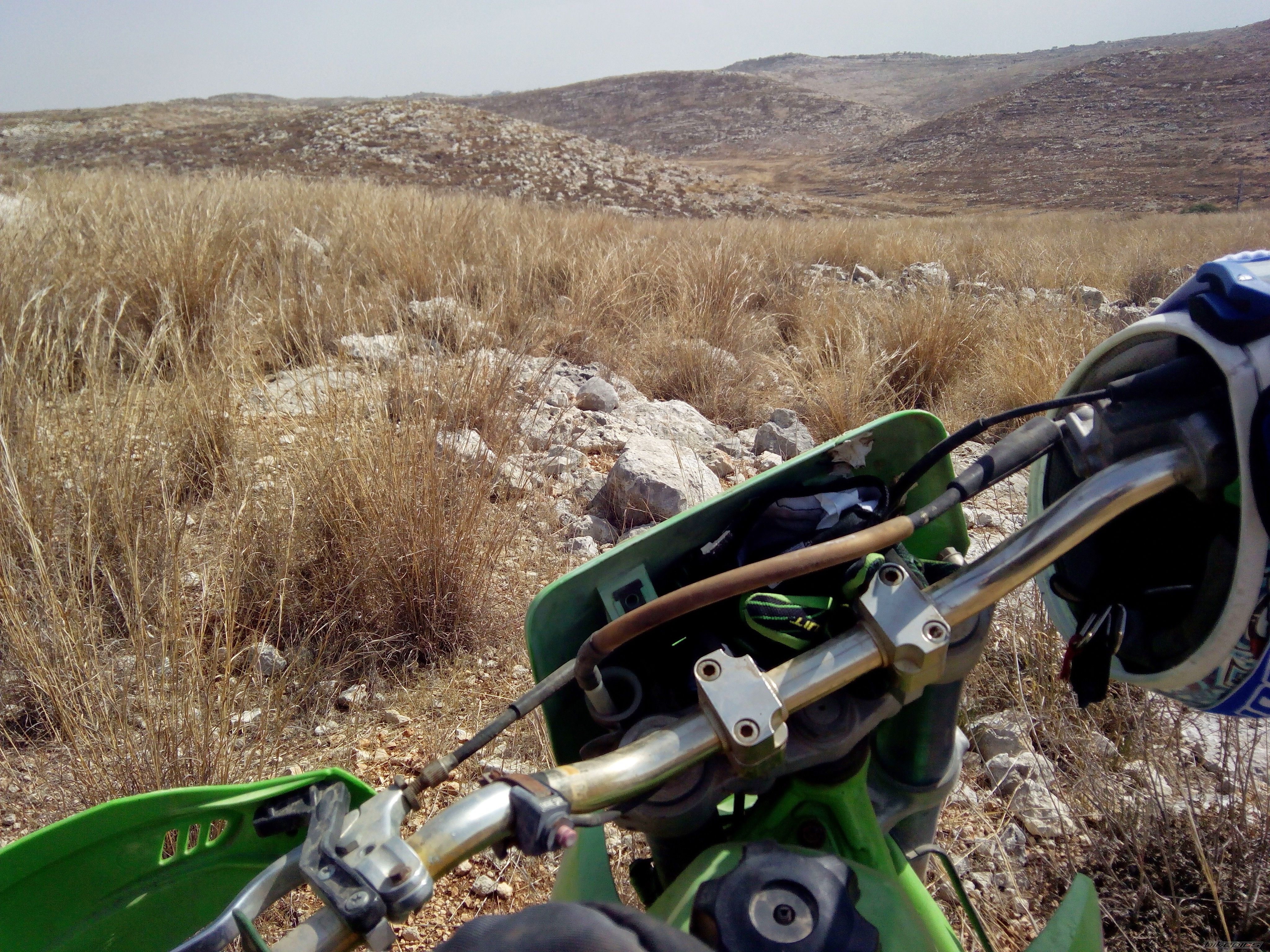 Photo 2784392