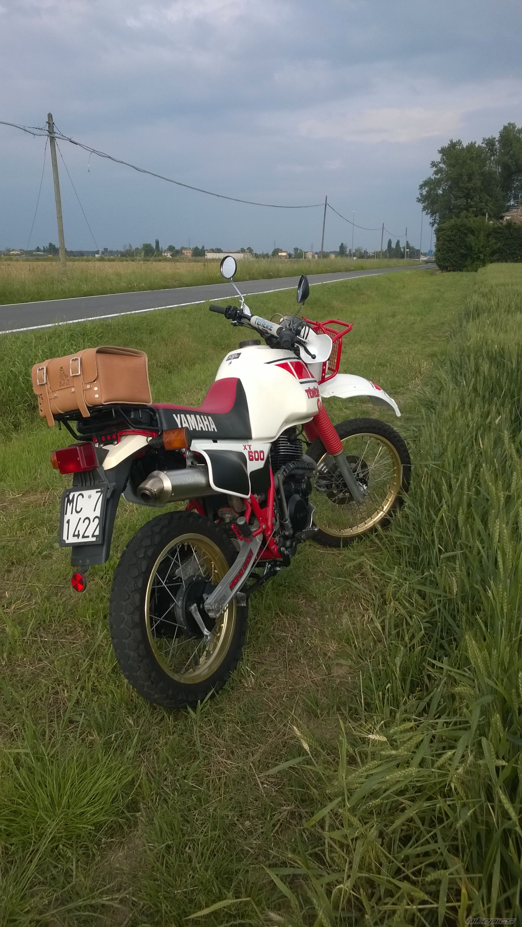 Photo 2784394
