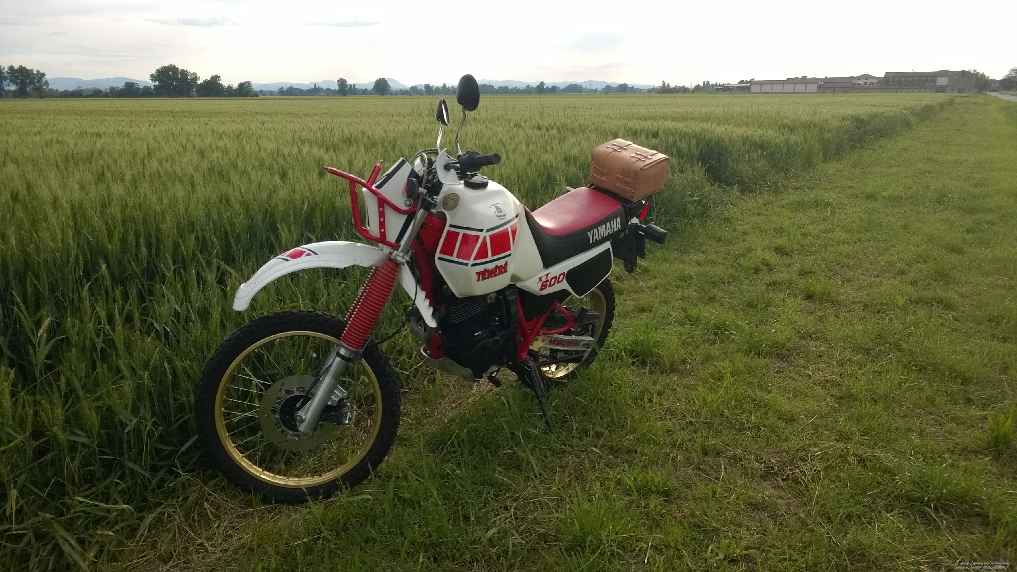 Photo 2784395