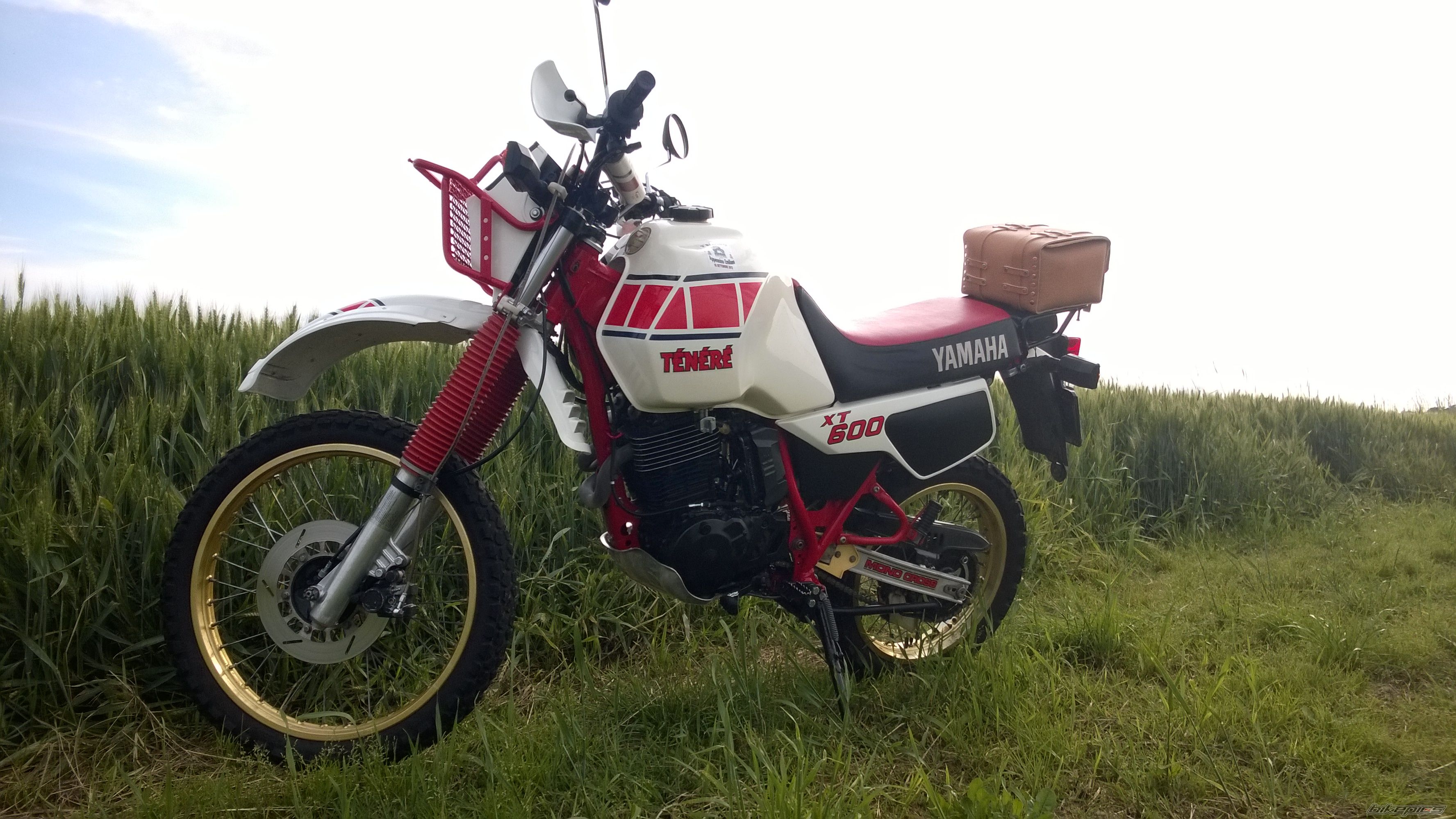 Photo 2784396