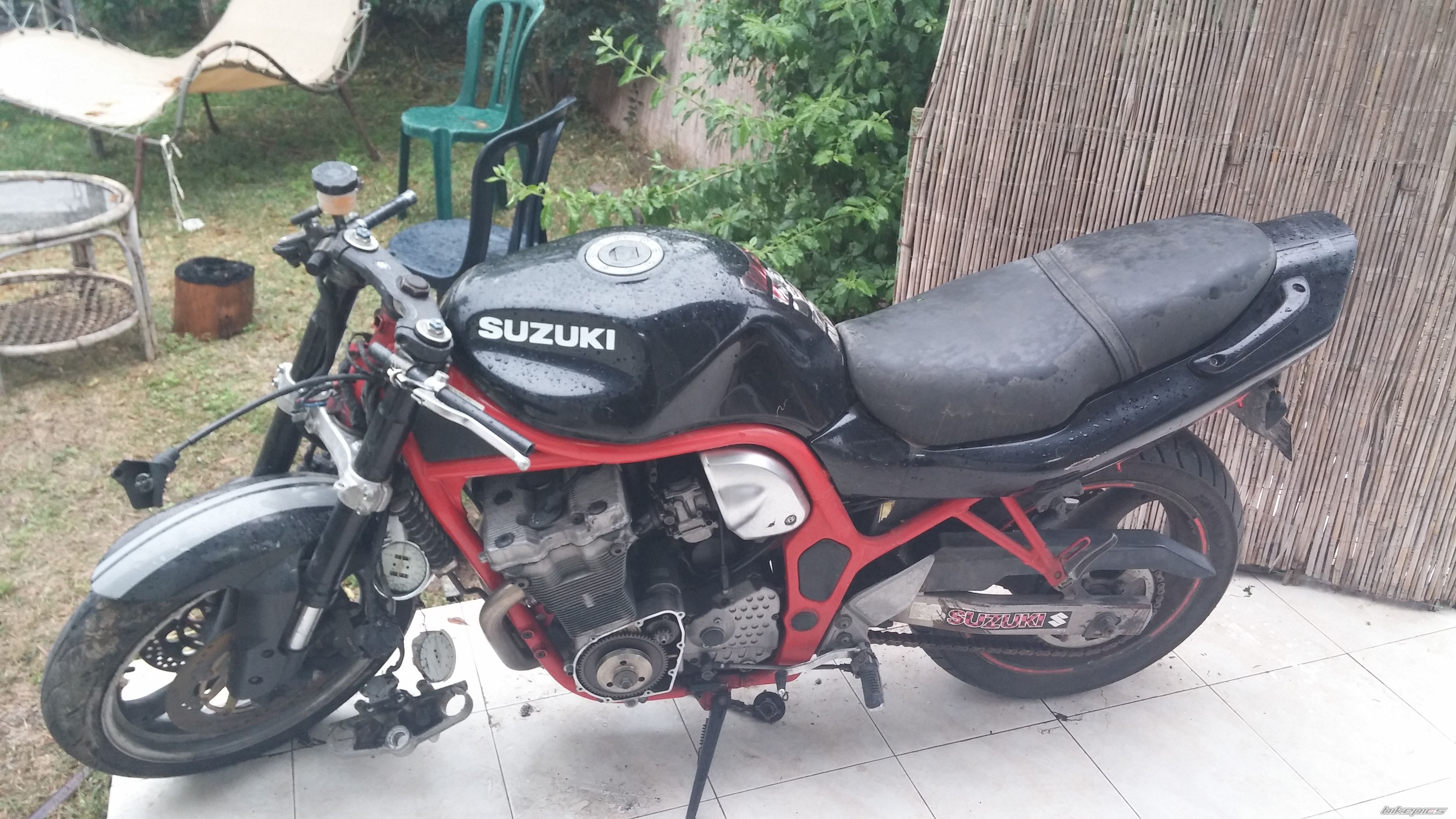 Photo 2784422