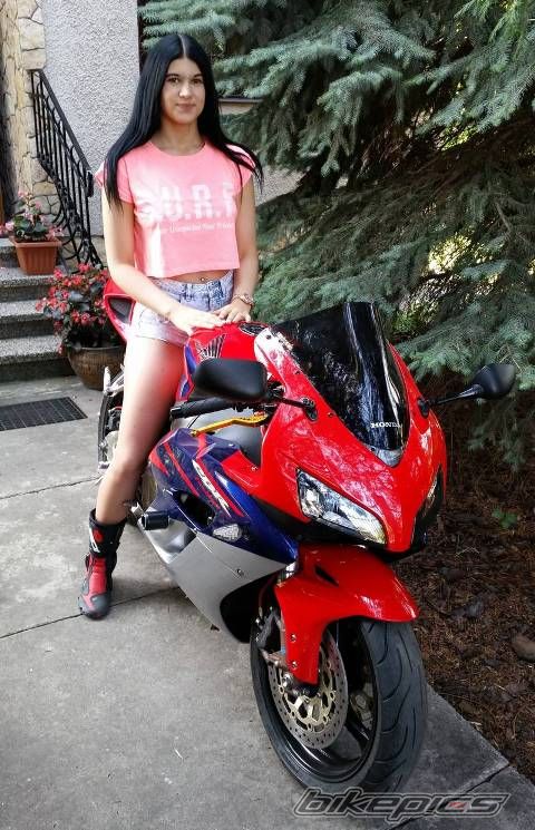 Photo 2784454