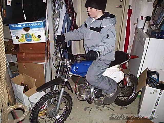 Photo 278448