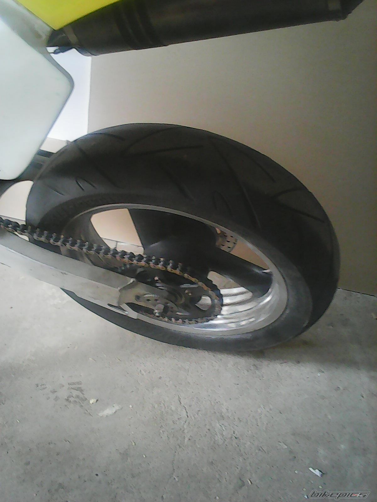 Photo 2784553