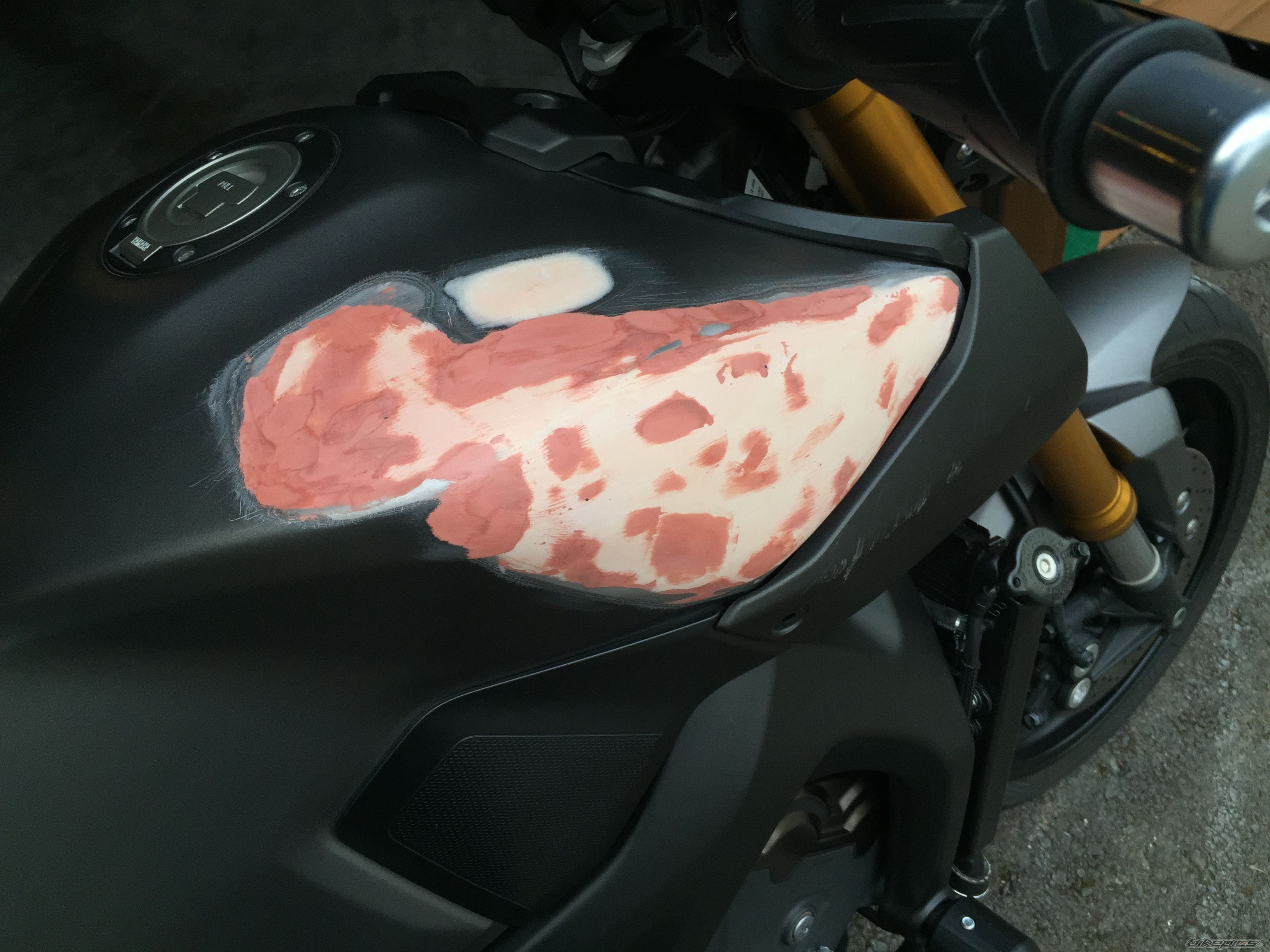Photo 2784586