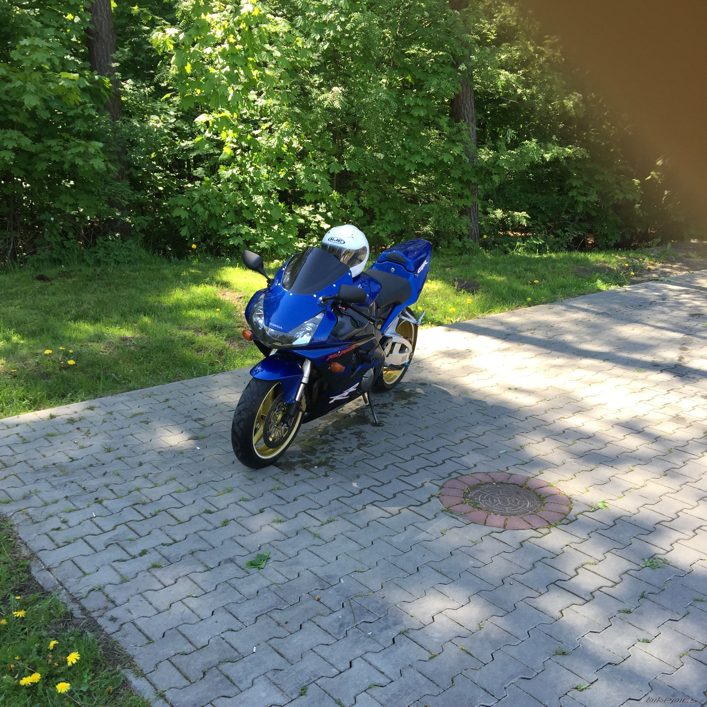 Photo 2784829