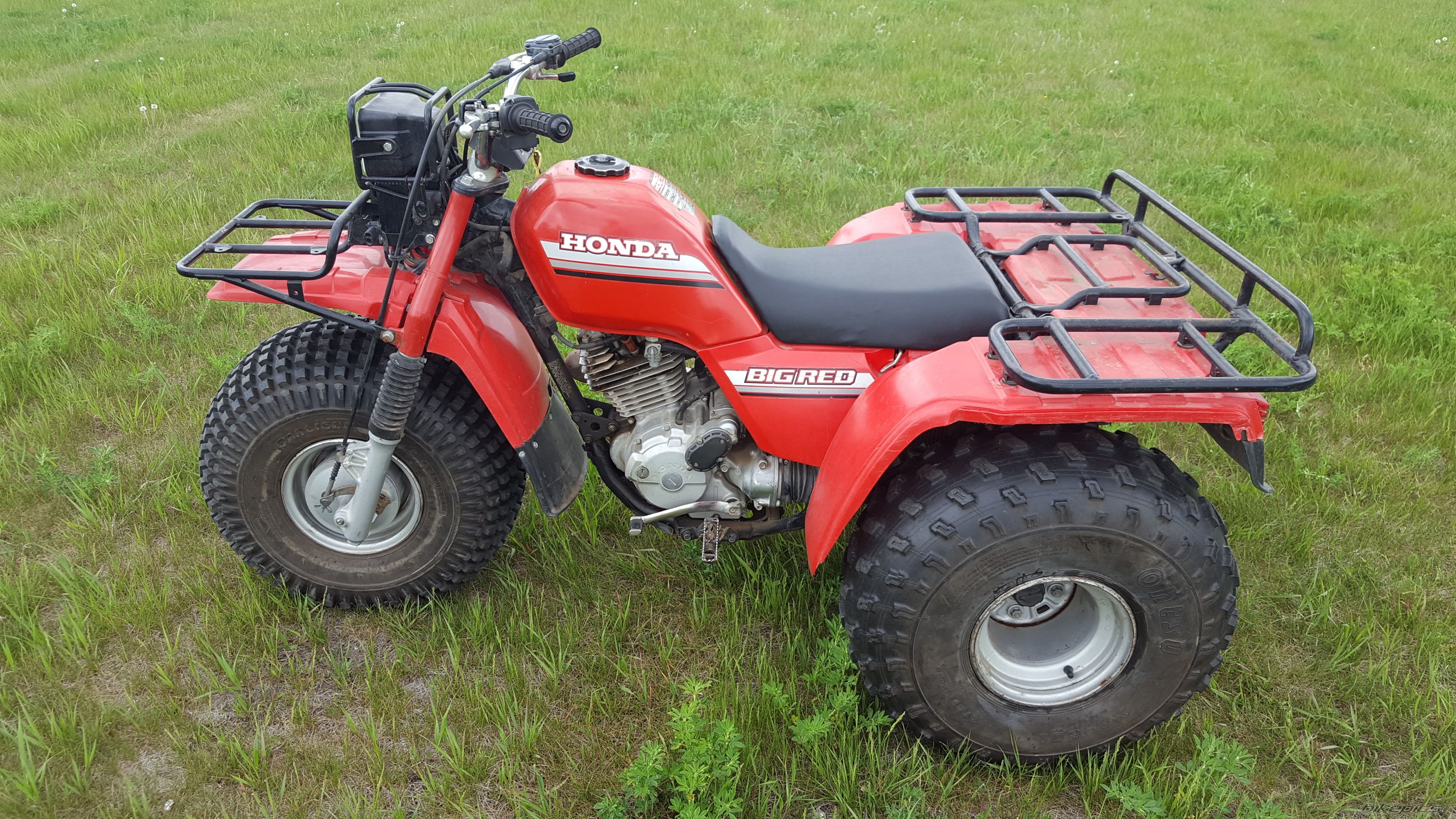 Photo 2784869