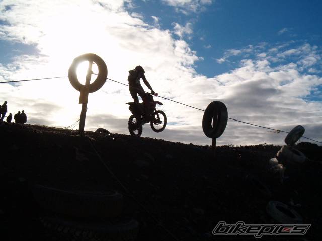 Photo 278487