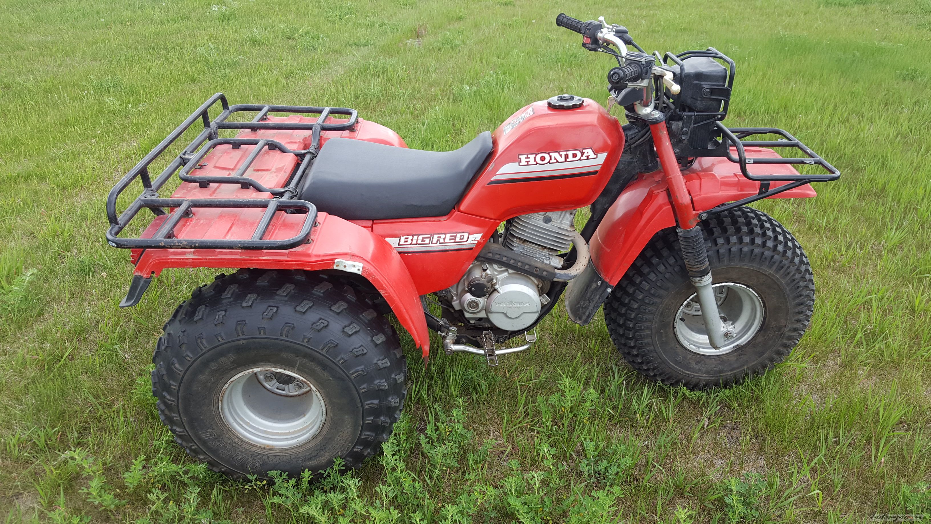 Photo 2784871