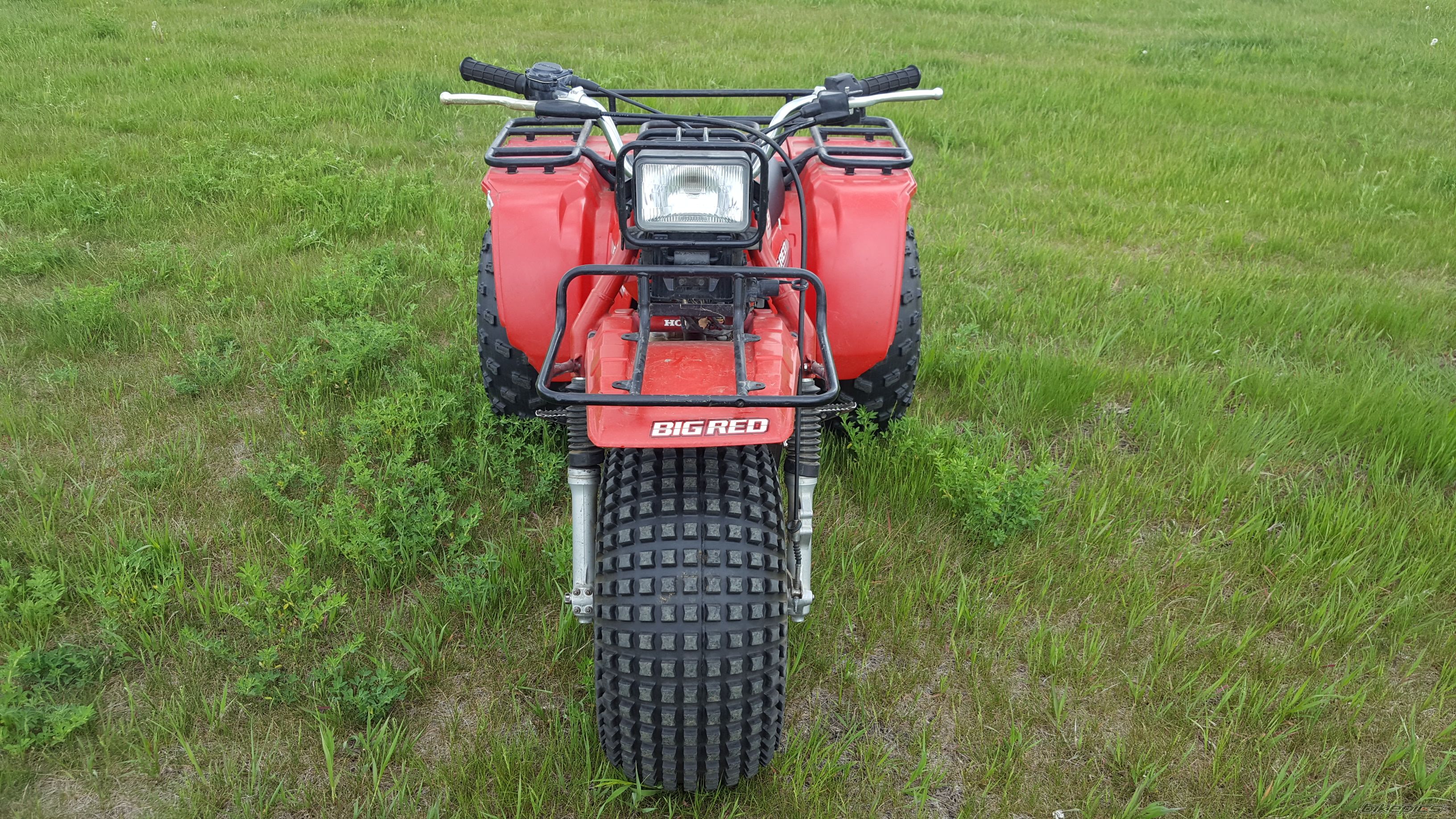 Photo 2784872