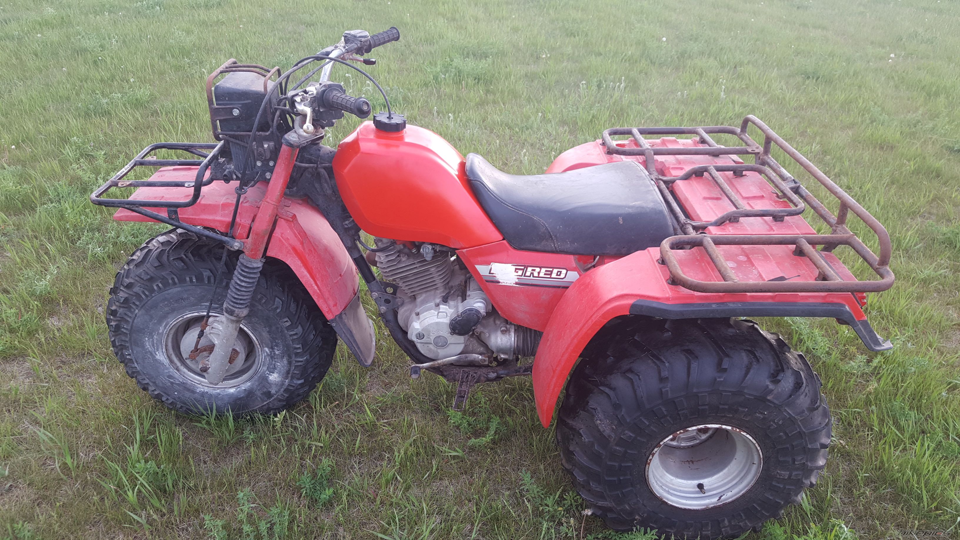 Photo 2784873