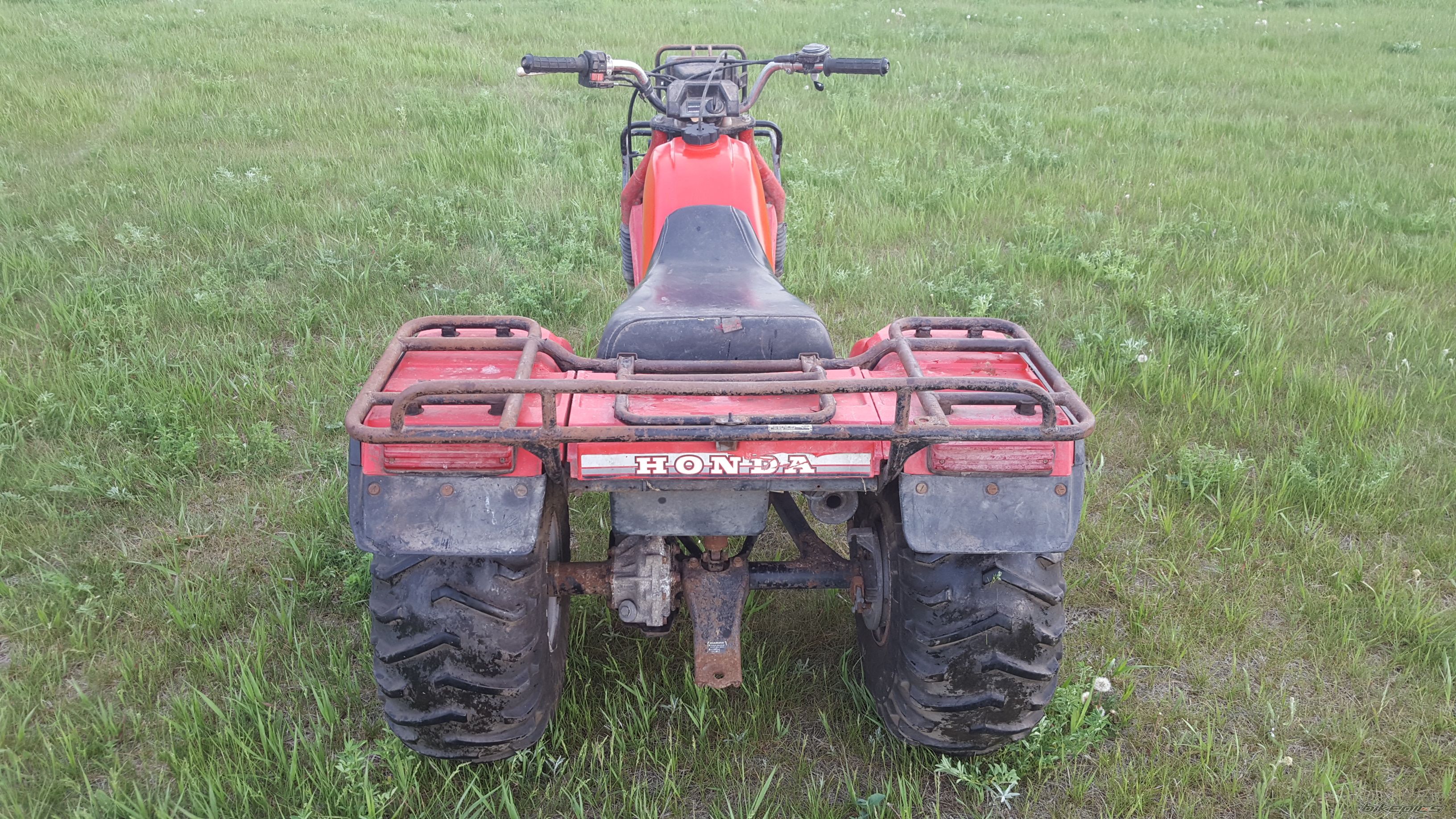 Photo 2784874