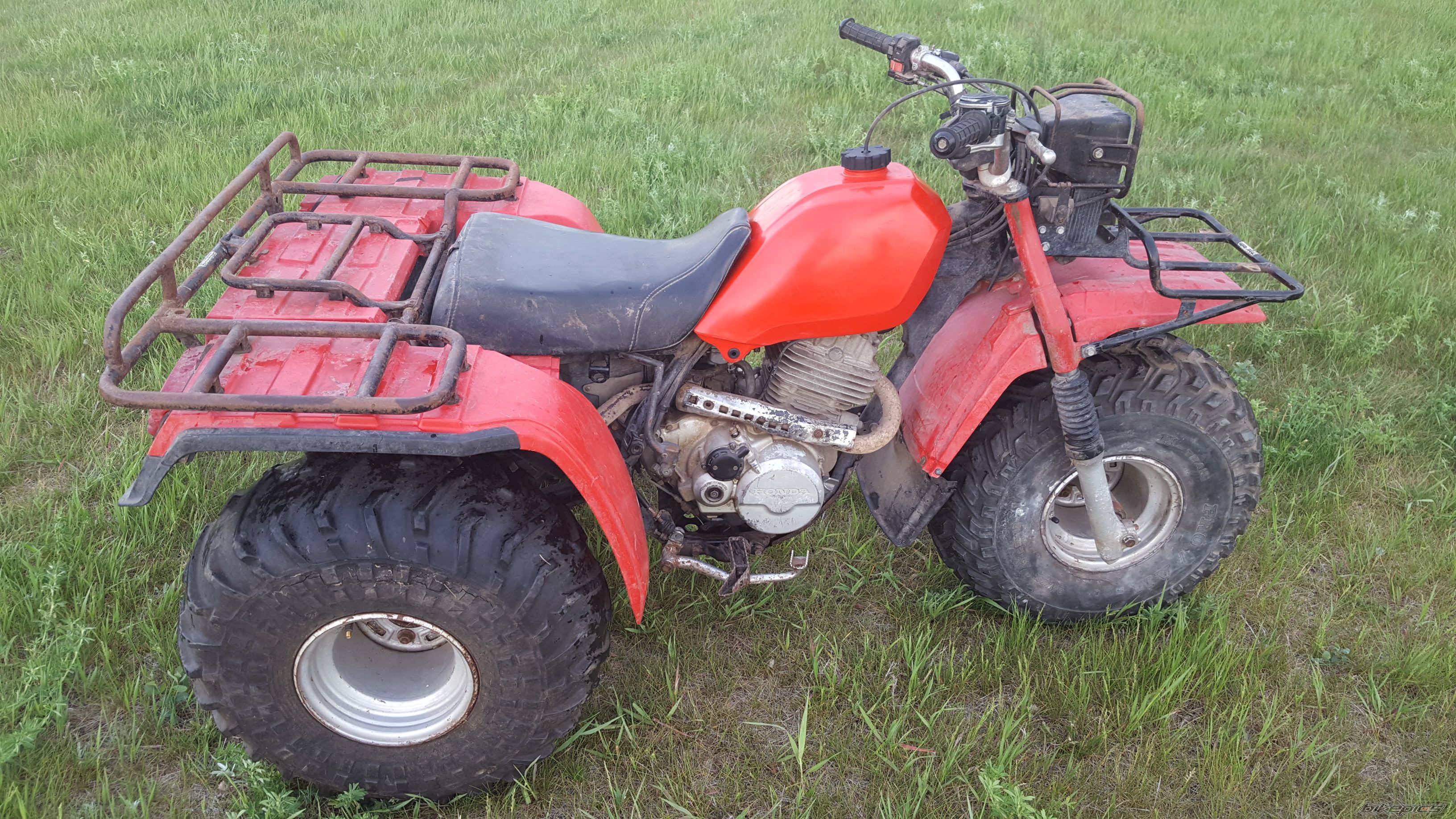 Photo 2784875