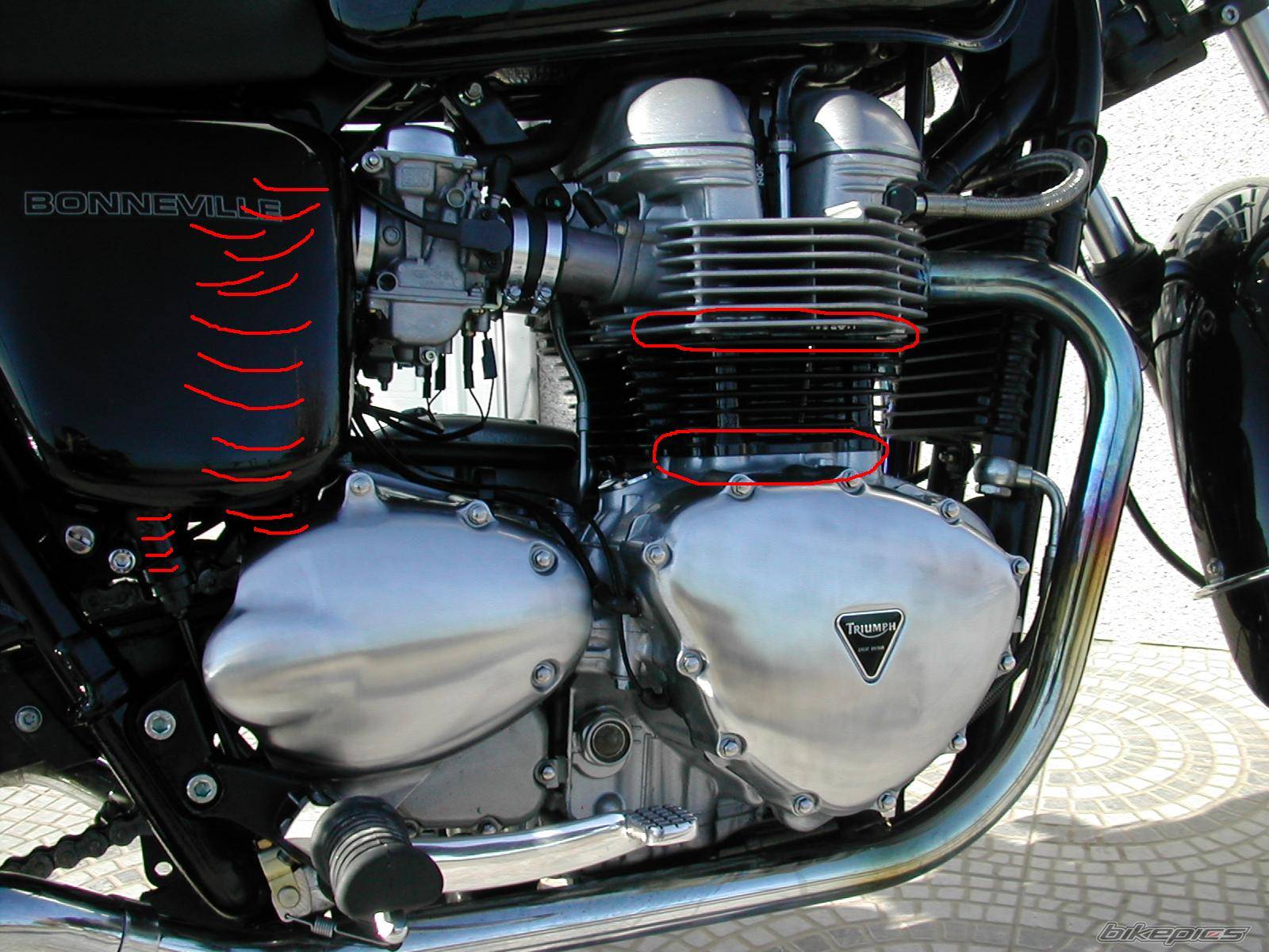 Bike Photo 278490
