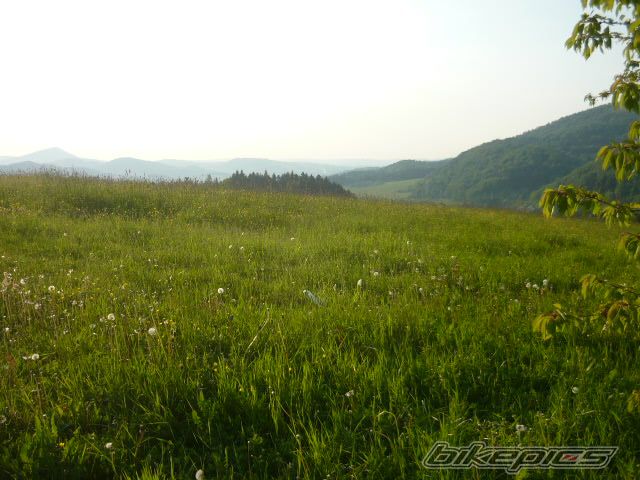 Photo 2784921