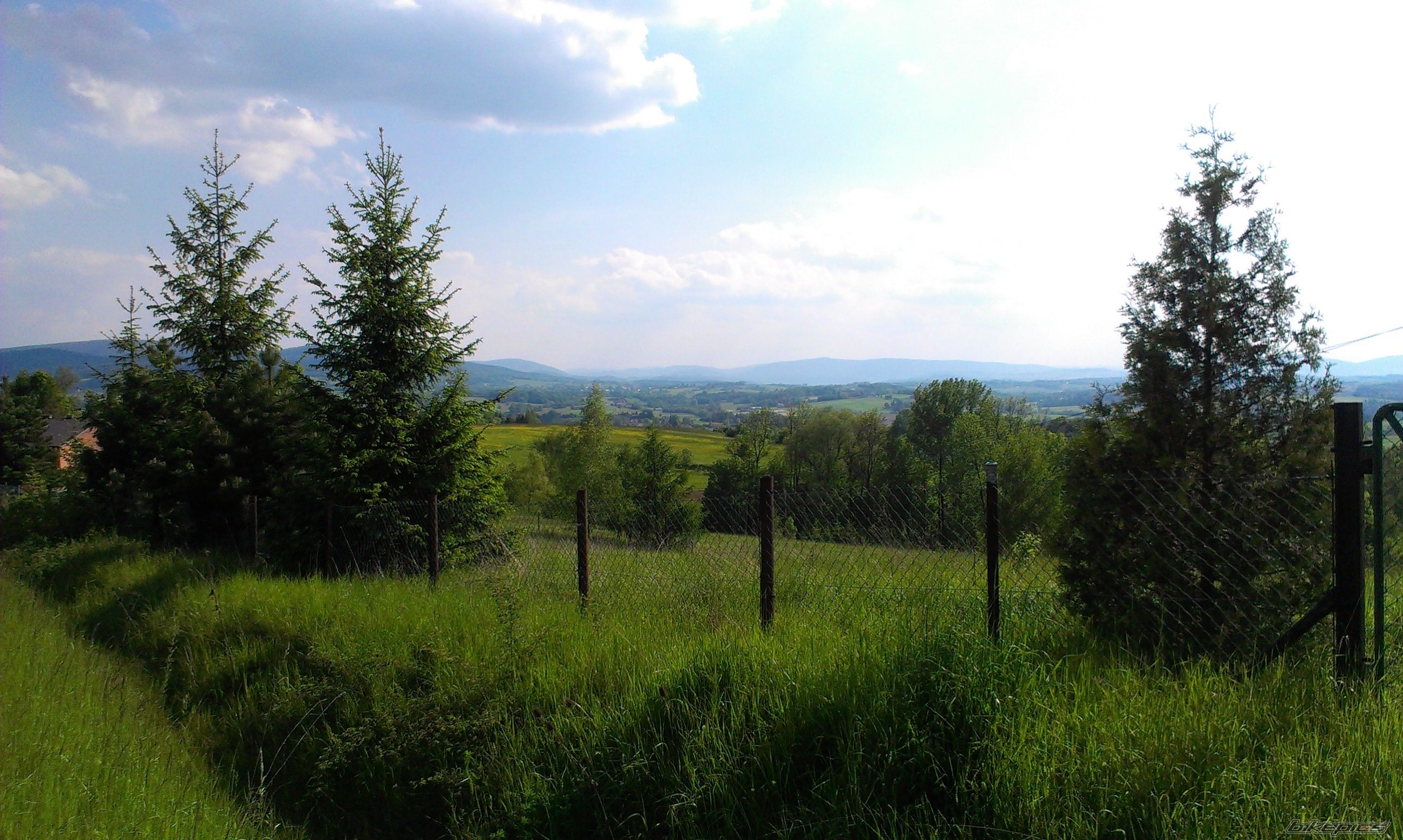 Photo 2784930