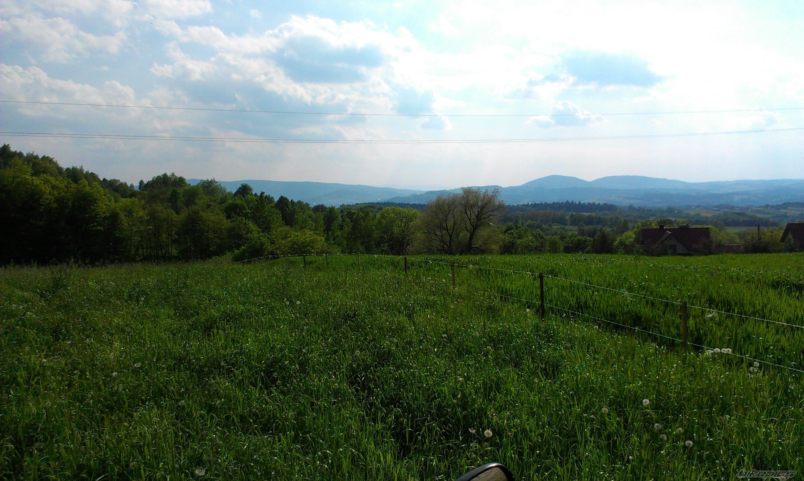 Photo 2784933