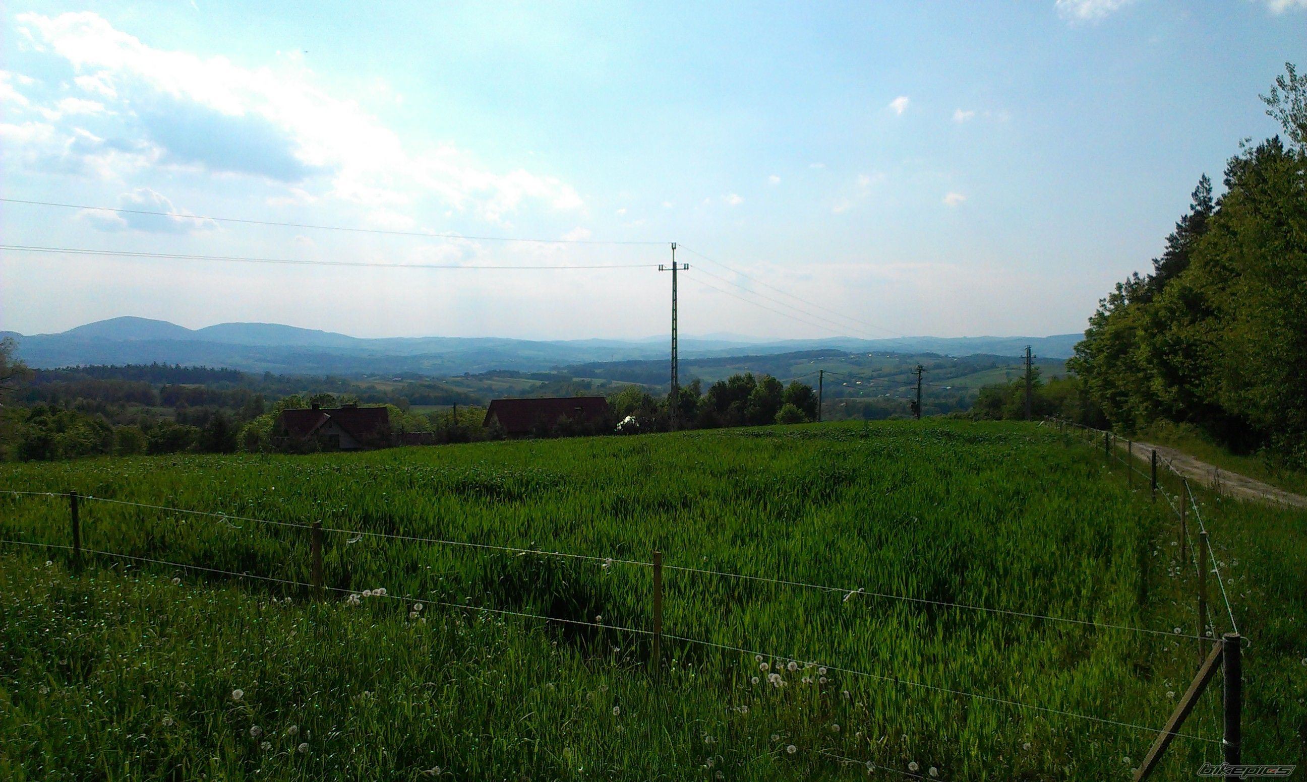 Photo 2784934