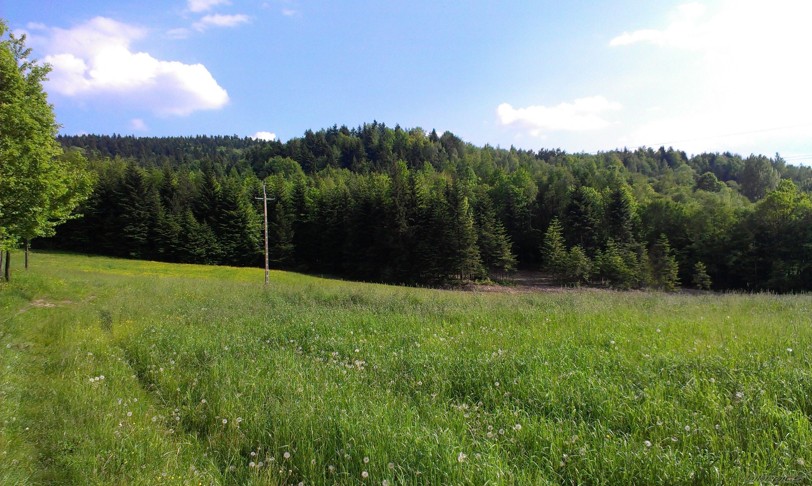 Photo 2784935