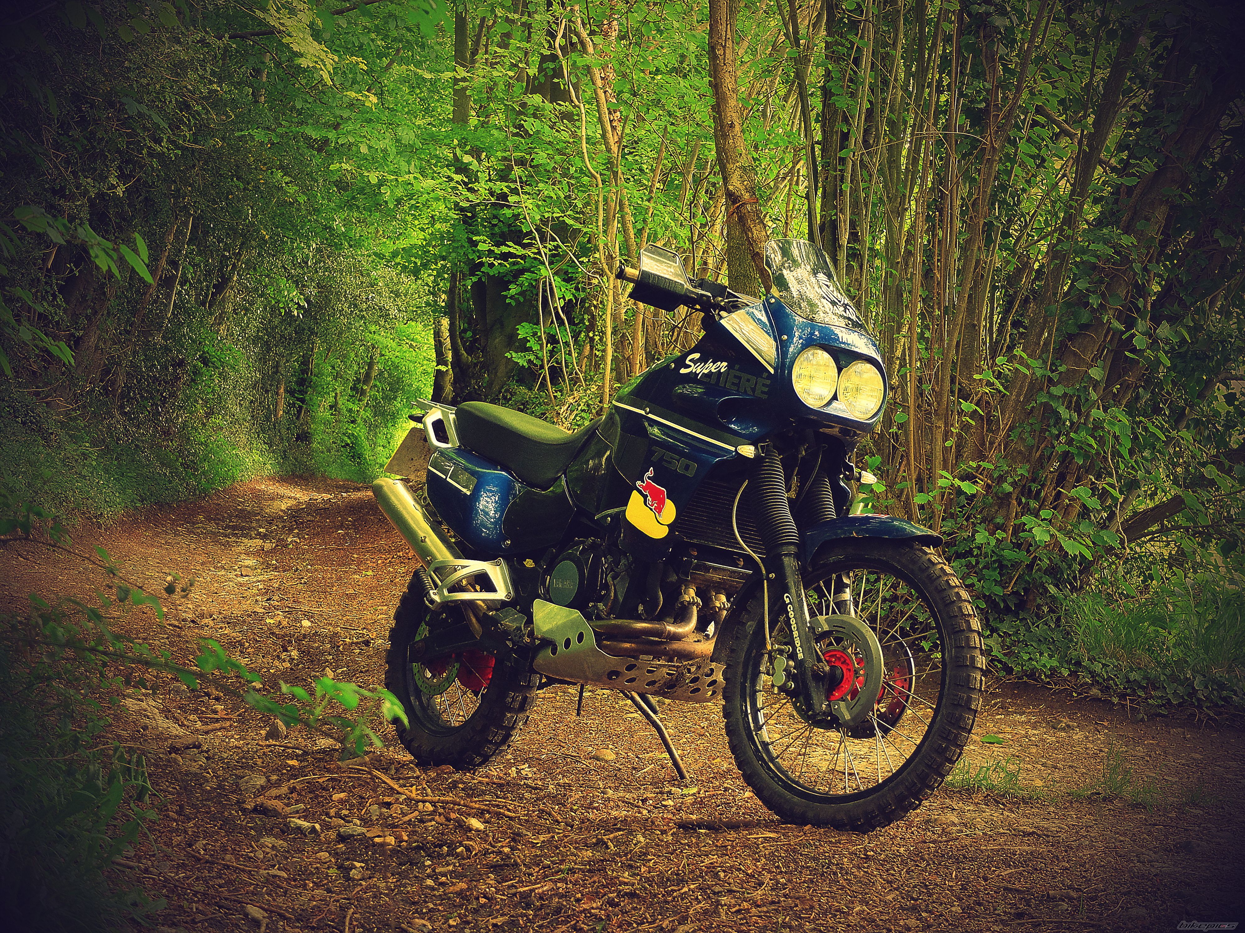 Photo 2784947