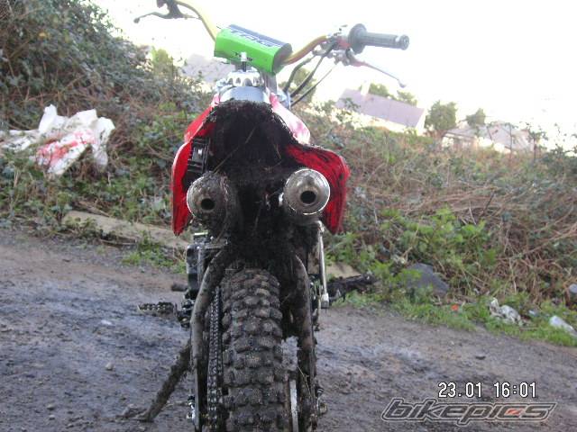 Photo 278495