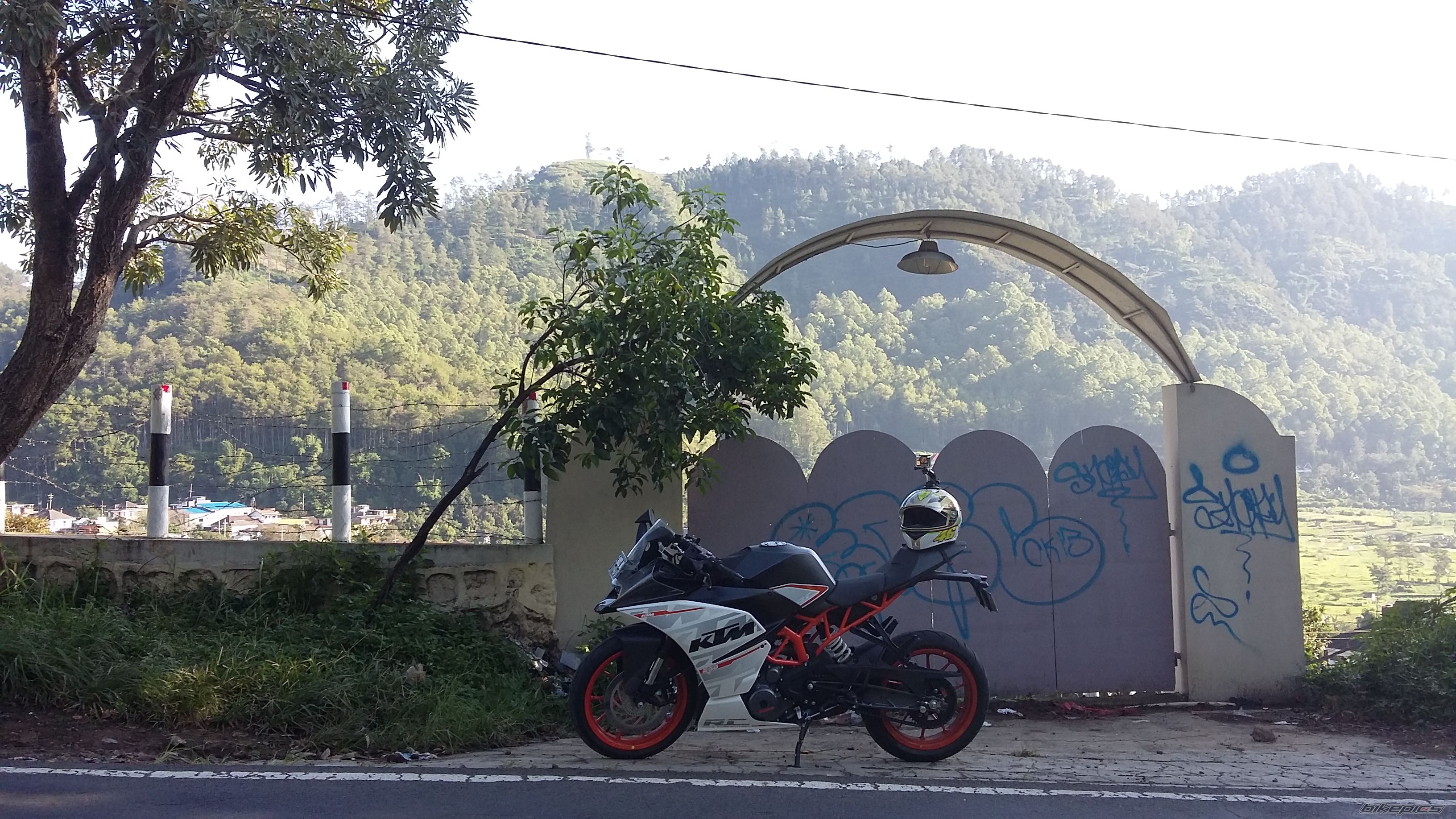 Photo 2784978