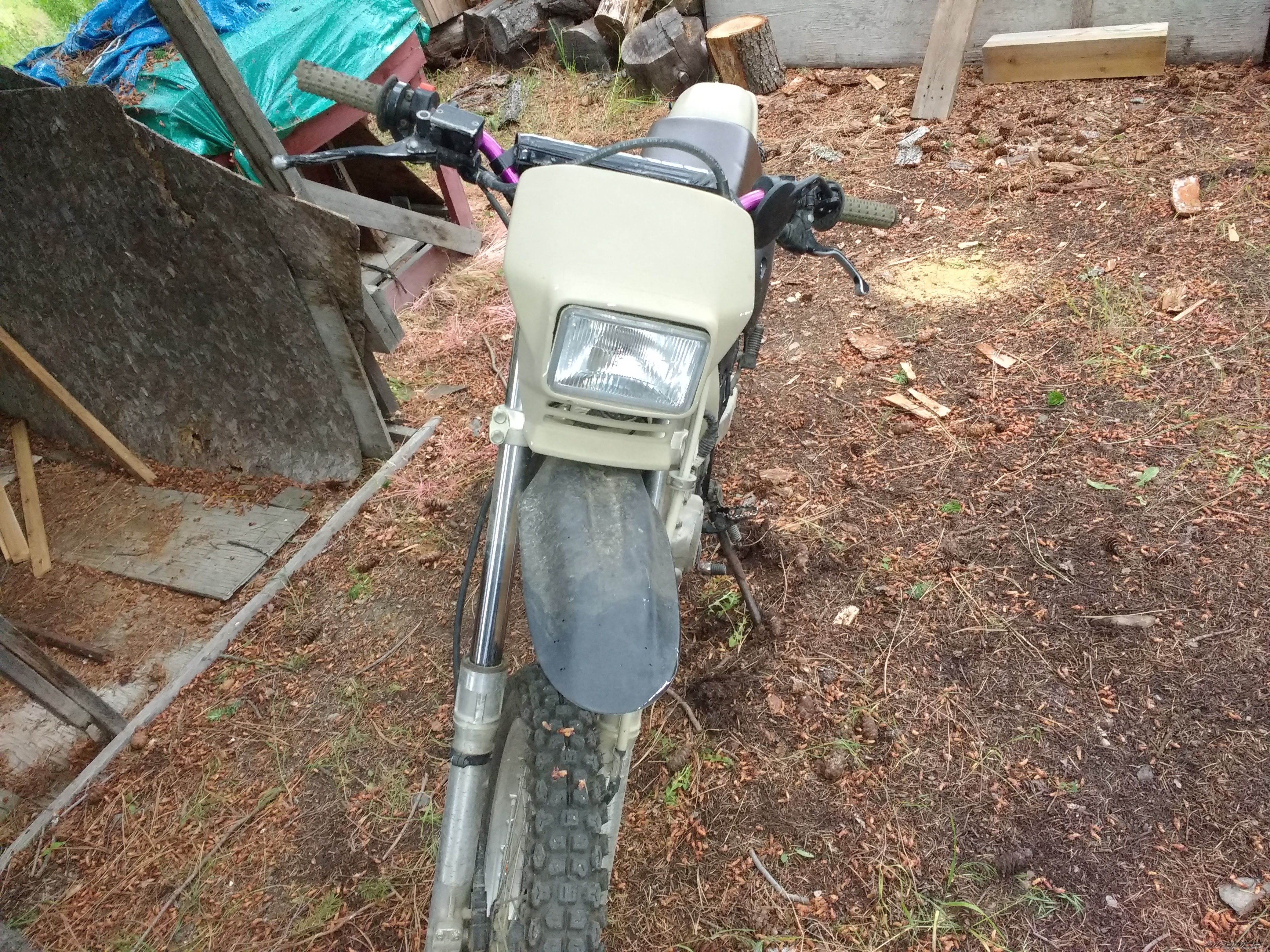 Photo 2785061