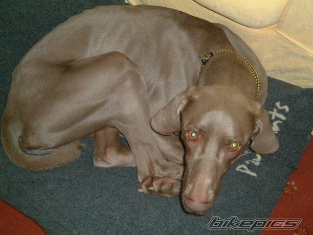 Photo 278508