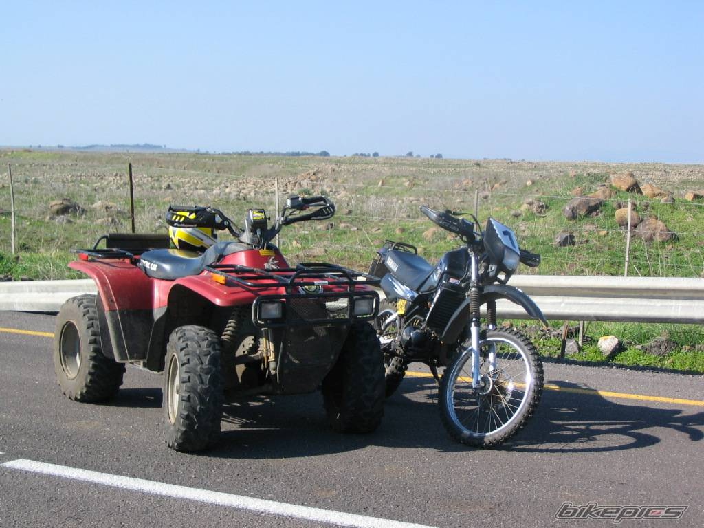 Photo 278510