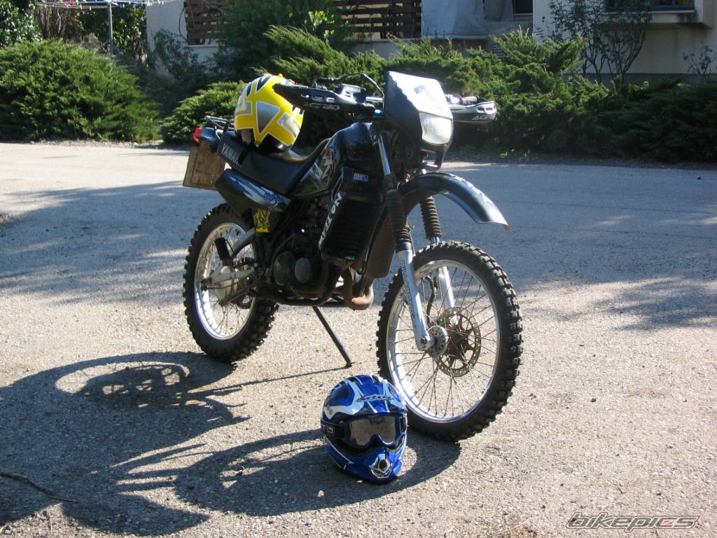Photo 278513
