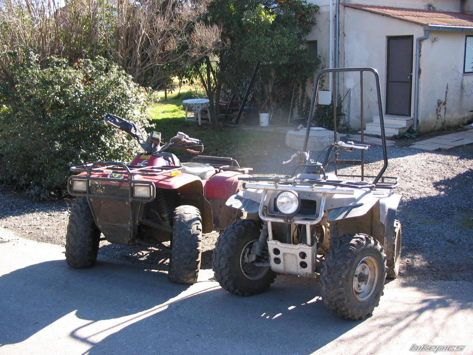 Photo 278519