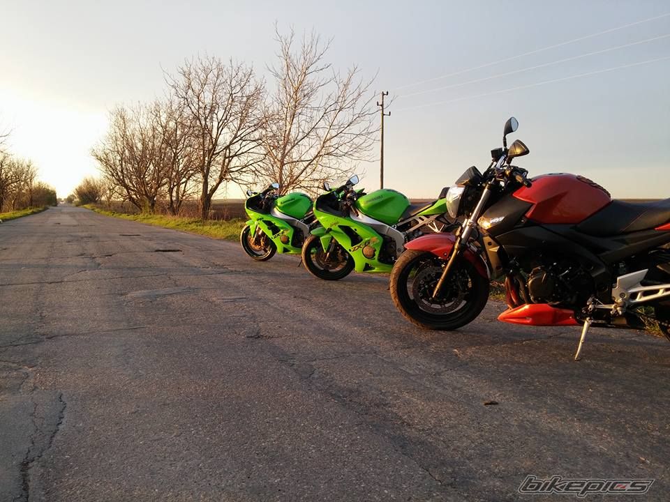 Photo 2785256