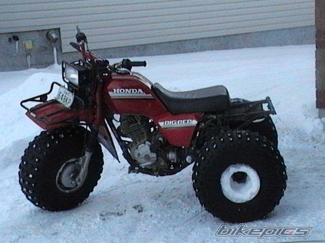 Photo 278533