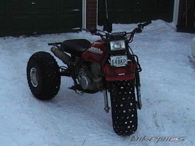 Photo 278534