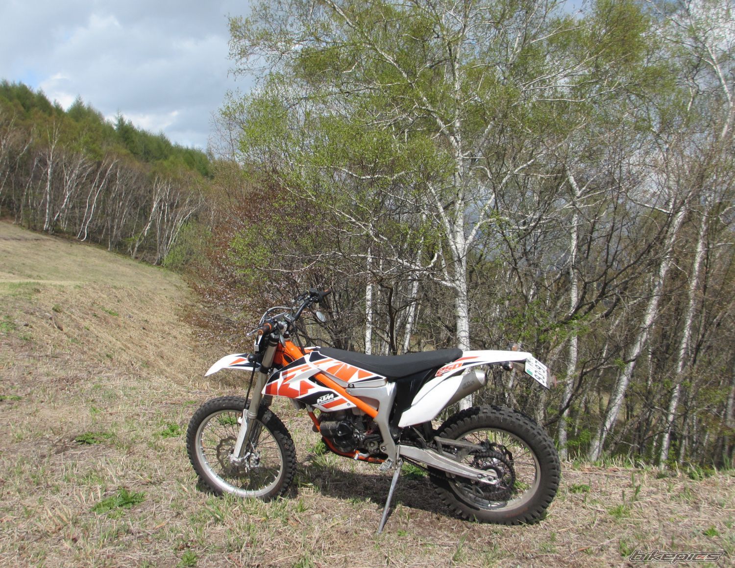 Photo 2785365