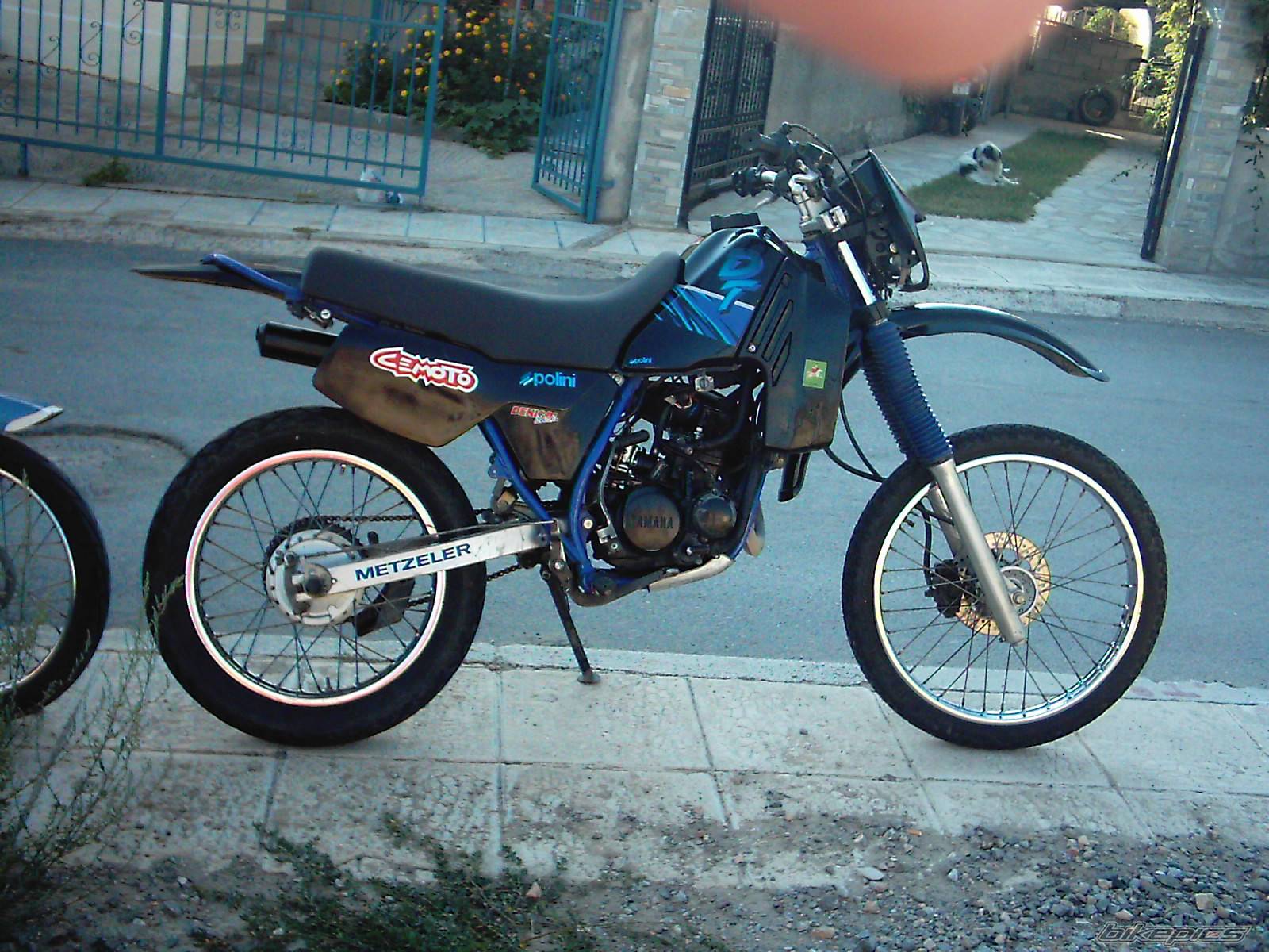 Photo 278548