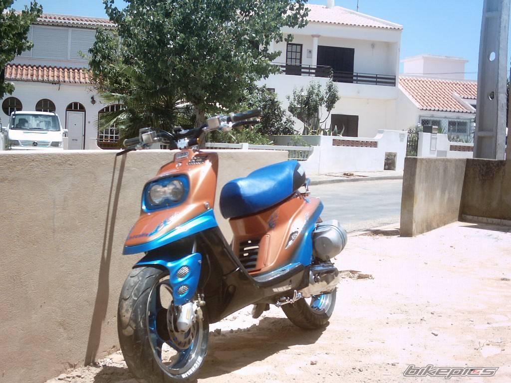 Photo 278555