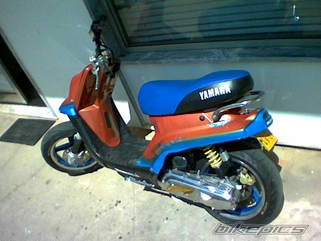 Photo 278557