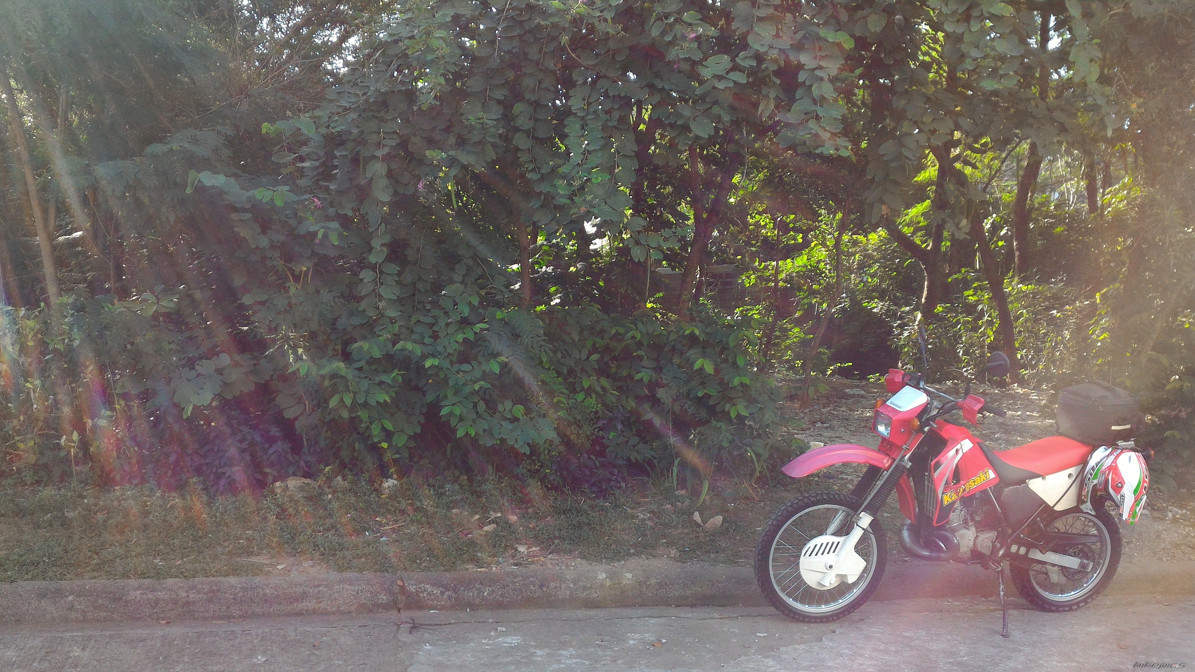 Photo 2785898