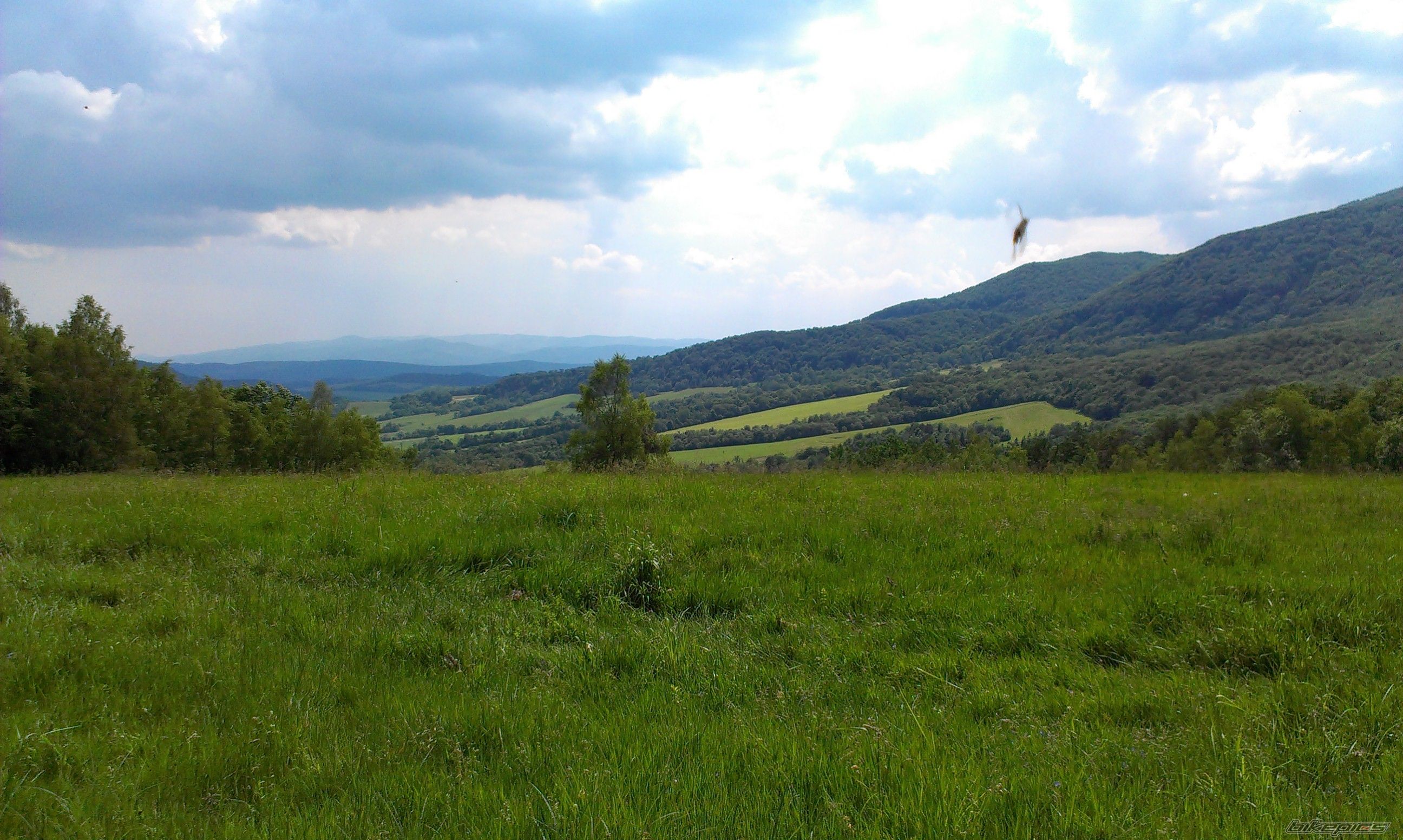 Photo 2785990